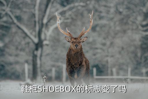 鞋柜SHOEBOX的标志变了吗