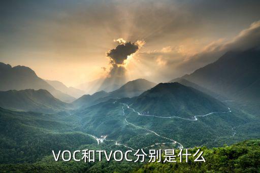 VOC和TVOC分别是什么