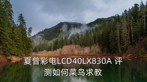 夏普830a怎么样，夏普彩电LCD40LX830