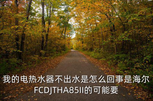 我的电热水器不出水是怎么回事是海尔FCDJTHA85II的可能要