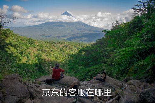 京东的客服在哪里