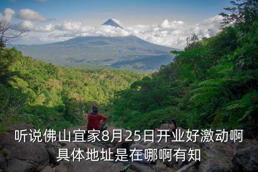 听说佛山宜家8月25日开业好激动啊具体地址是在哪啊有知