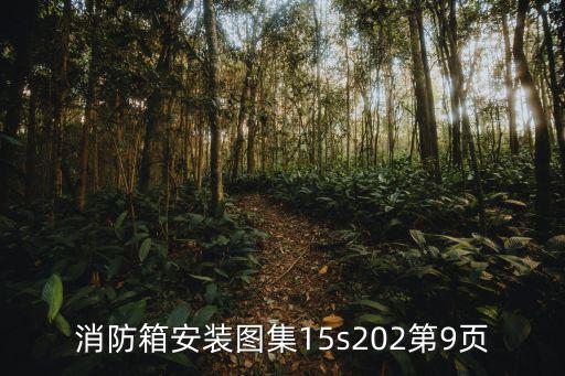 消防箱安装图集15s202第9页