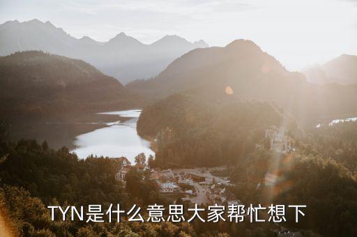 TYN是什么意思大家帮忙想下