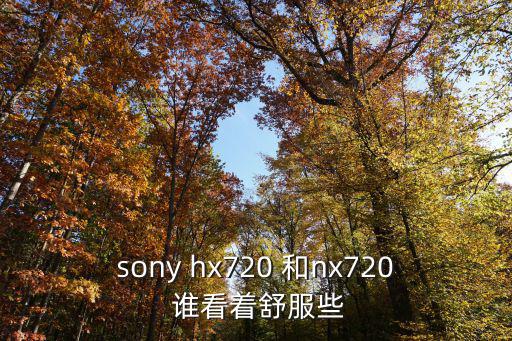 sony hx720 和nx720 谁看着舒服些