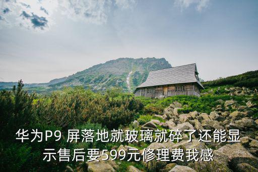 华为P9 屏落地就玻璃就碎了还能显示售后要599元修理费我感