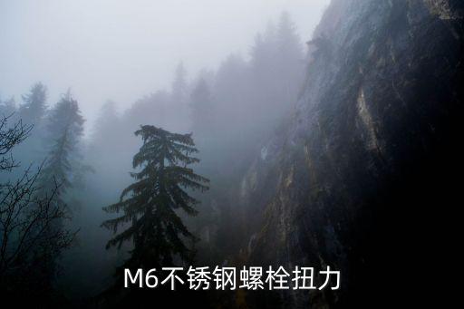 M6不锈钢螺栓扭力