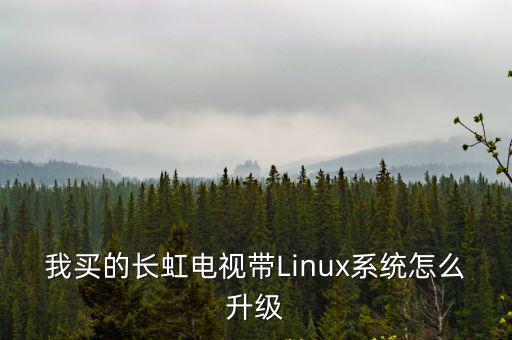 我买的长虹电视带Linux系统怎么升级