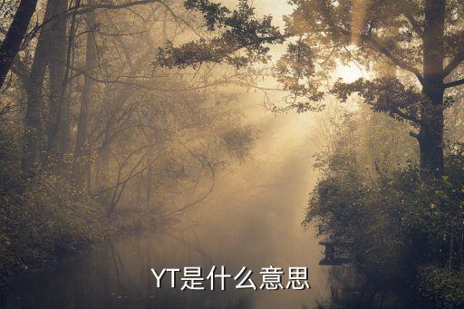 YT是什么意思