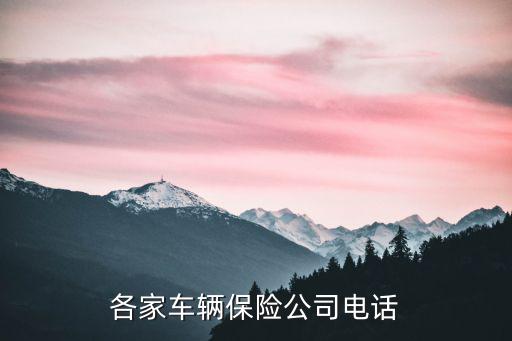 各家车辆保险公司电话