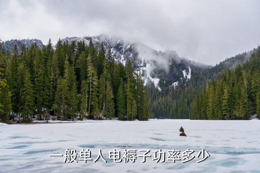 电褥子的功率，一般单人电褥子功率多