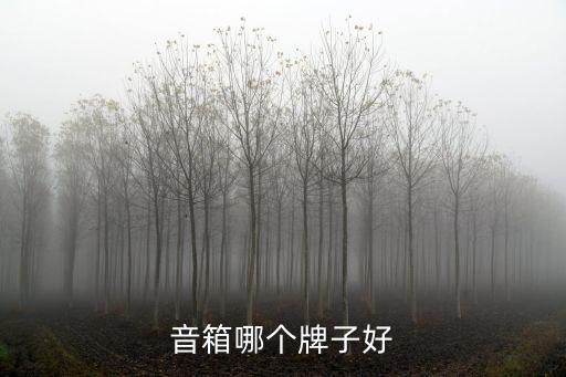 音箱哪个牌子好