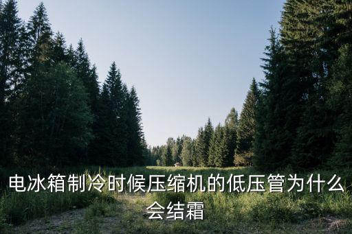 冰箱低压管结霜是怎么回事，电冰箱制