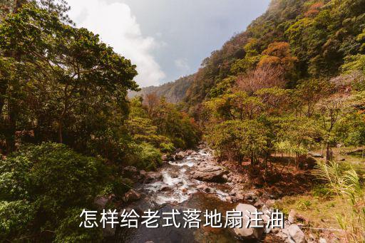 落地扇怎么抹润滑油，怎样给老式落地