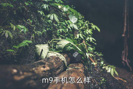 m9手机怎么样