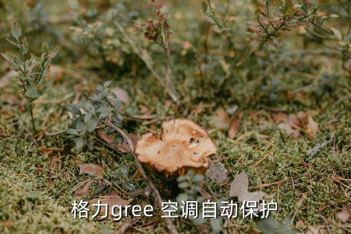 格力gree 空调自动保护