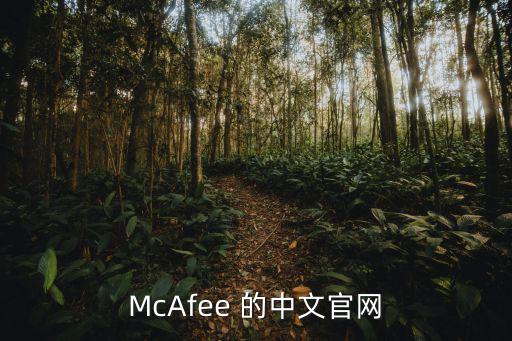 McAfee 的中文官网