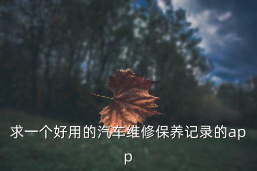 求一个好用的汽车维修保养记录的app