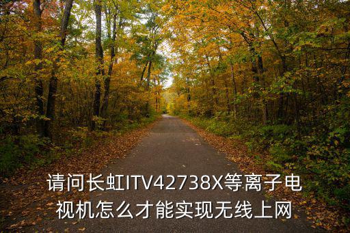 请问长虹ITV42738X等离子电视机怎么才能实现无线上网