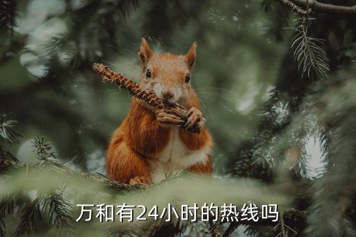 万和有24小时的热线吗