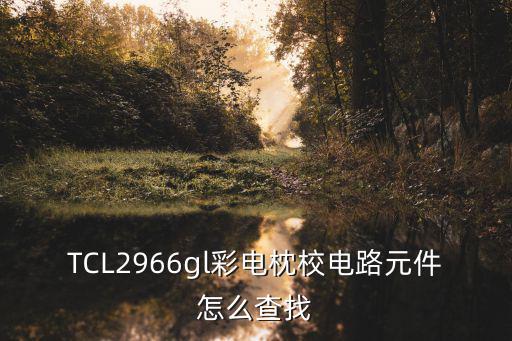 TCL2966gl彩电枕校电路元件怎么查找