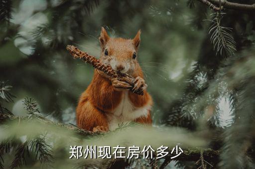 郑州现在房价多少