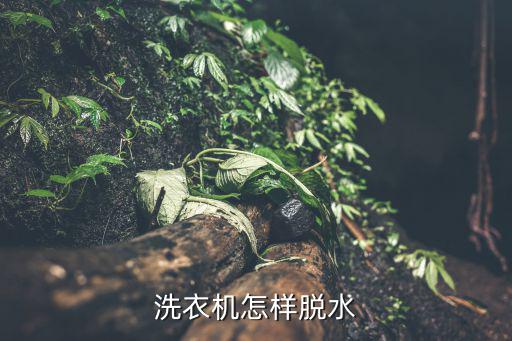 洗衣机怎样脱水