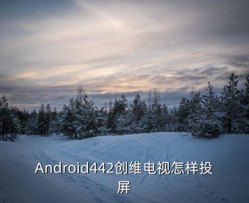 Android442创维电视怎样投屏