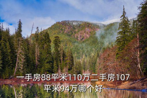 丽泽桥二手房，一手房88平米110万二