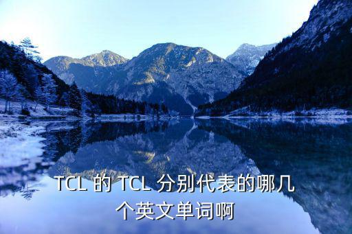 TCL 的 TCL 分别代表的哪几个英文单词啊