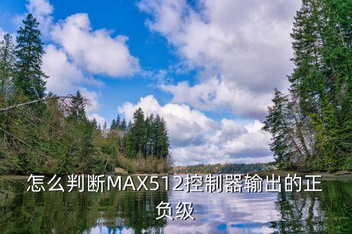 怎么判断MAX512控制器输出的正负级