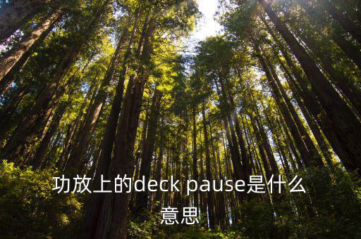 功放上的deck pause是什么意思