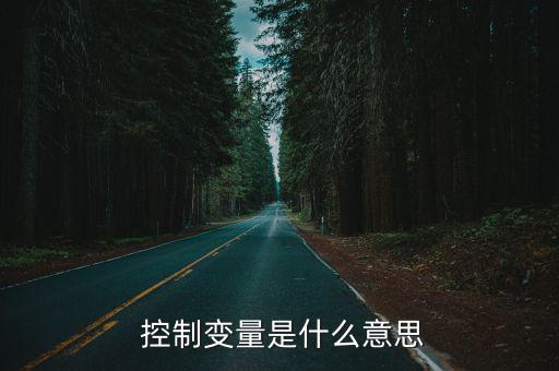  控制变量是什么意思