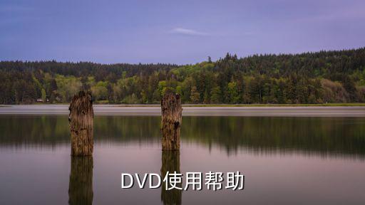 DVD使用帮助