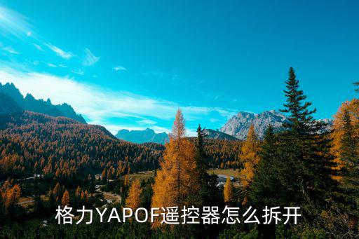 格力YAPOF遥控器怎么拆开