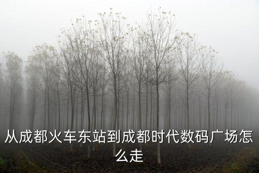 成都数码广场,成都最大电脑市场在