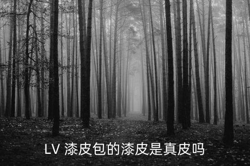 LV 漆皮包的漆皮是真皮吗