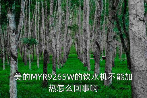 美的MYR926SW的饮水机不能加热怎么回事啊