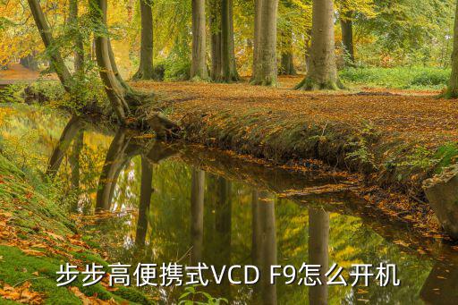 老式步步高vcd机怎么用，步步高便携