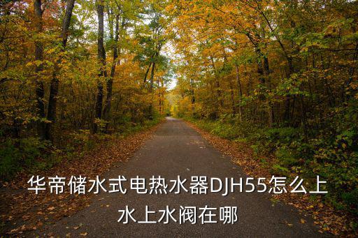 华帝储水式电热水器DJH55怎么上水上水阀在哪