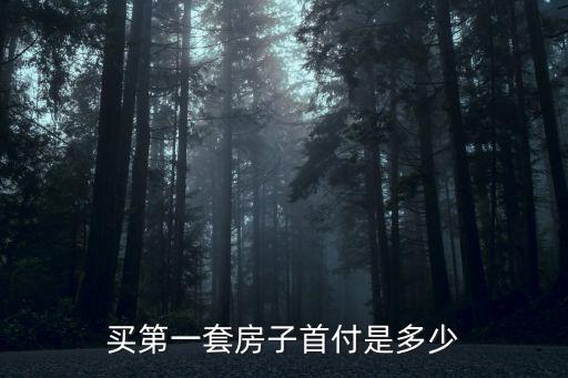 买第一套房子首付是多少