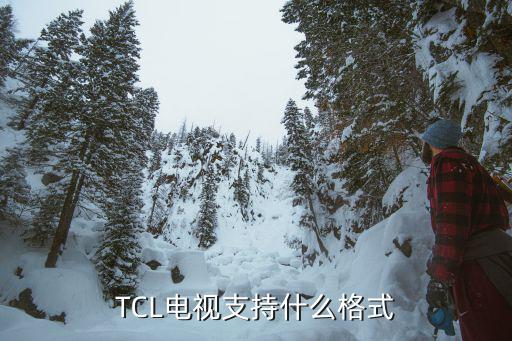 TCL电视支持什么格式