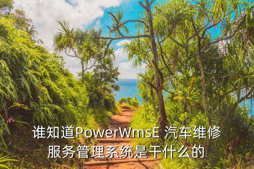 谁知道PowerWmsE 汽车维修服务管理系统是干什么的