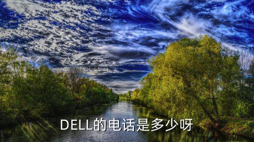 dell客服电话，DELL的电话是多少呀