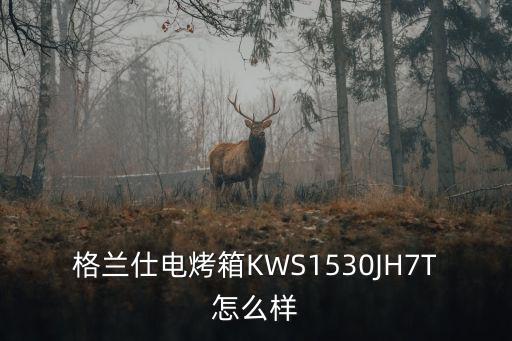 格兰仕烤箱怎么样，格兰仕电烤箱KWS1