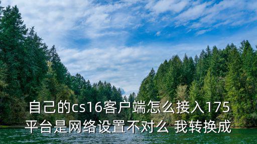 自己的cs16客户端怎么接入175平台是网络设置不对么 我转换成