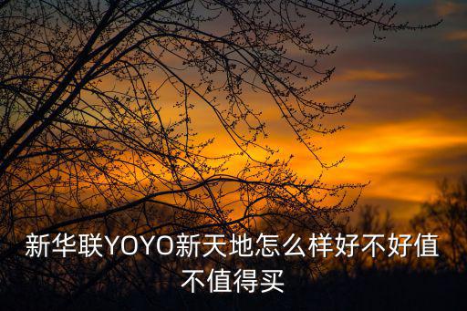 新华联YOYO新天地怎么样好不好值不值得买