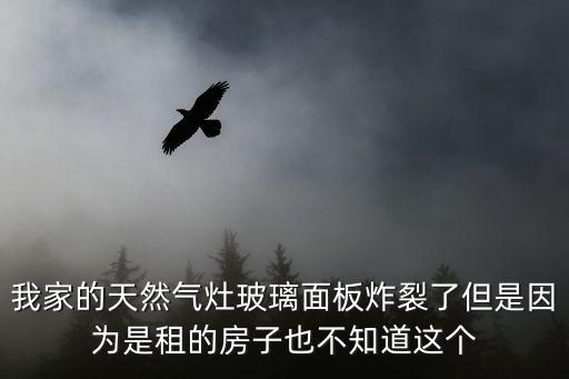 我家的天然气灶玻璃面板炸裂了但是因为是租的房子也不知道这个