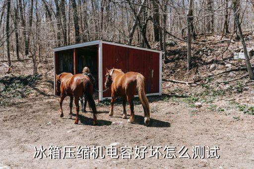 冰箱压缩机电容好坏怎么测试