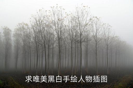 求唯美黑白手绘人物插图